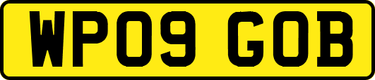 WP09GOB