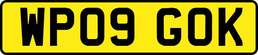 WP09GOK