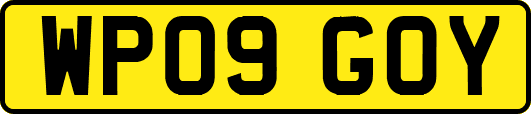 WP09GOY