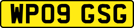 WP09GSG