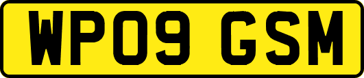 WP09GSM