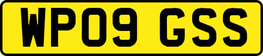 WP09GSS