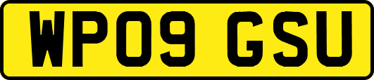 WP09GSU