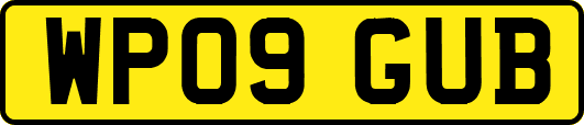WP09GUB