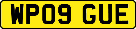 WP09GUE
