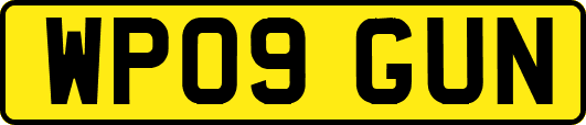WP09GUN