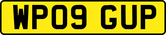 WP09GUP