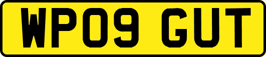WP09GUT