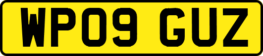 WP09GUZ