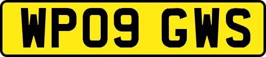 WP09GWS