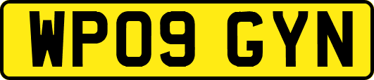 WP09GYN