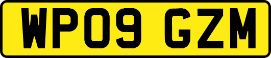 WP09GZM
