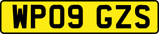 WP09GZS