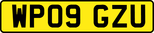 WP09GZU