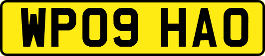 WP09HAO