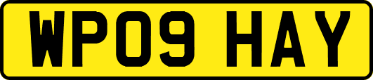 WP09HAY