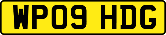 WP09HDG