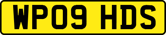 WP09HDS