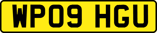 WP09HGU