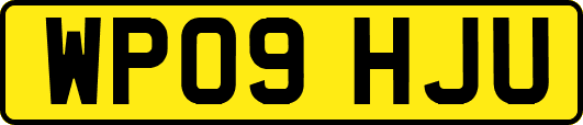 WP09HJU