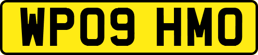 WP09HMO