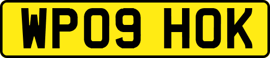 WP09HOK