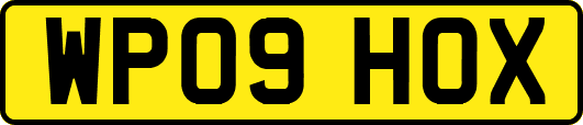 WP09HOX