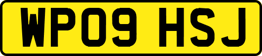 WP09HSJ