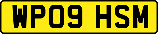 WP09HSM