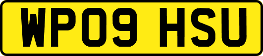 WP09HSU