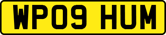 WP09HUM