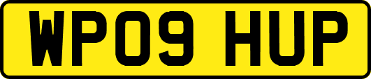 WP09HUP