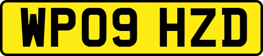 WP09HZD