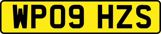 WP09HZS
