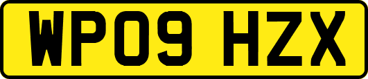 WP09HZX