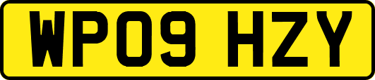WP09HZY