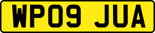 WP09JUA