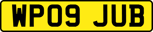 WP09JUB