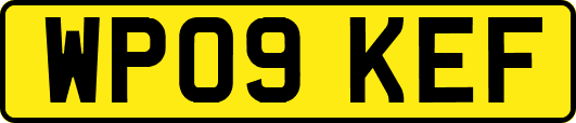 WP09KEF