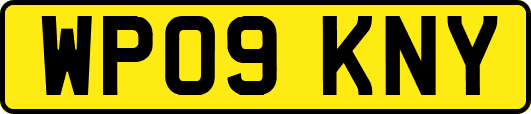 WP09KNY