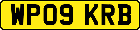 WP09KRB