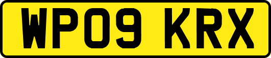 WP09KRX