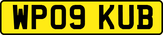 WP09KUB