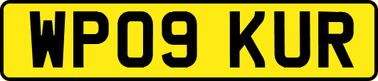 WP09KUR