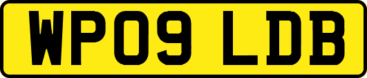 WP09LDB