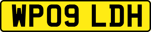 WP09LDH