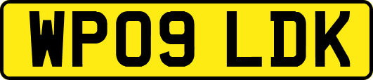WP09LDK