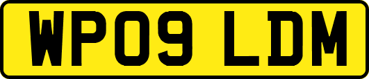 WP09LDM