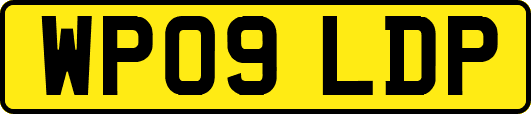 WP09LDP