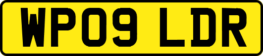 WP09LDR